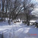 il giardino di casa con la neve