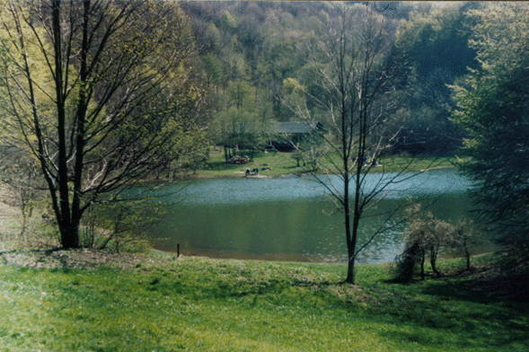 Lago Verde1