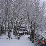 Il mio giardino quando nevica